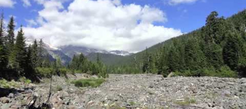 Wonderland Trail: Highlights
