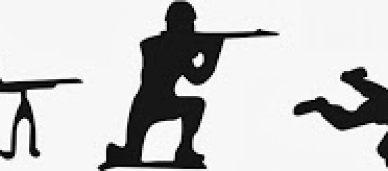 MWSA Literary Fiction Book of the Year Press Release