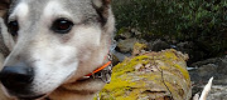 Going Solo: The Next Day