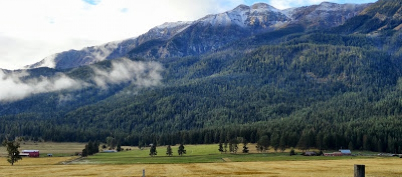 Wallow Mountains: A Return to the Heart