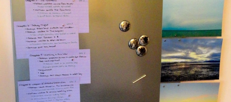 Revising the Novel: Plot Problem Process
