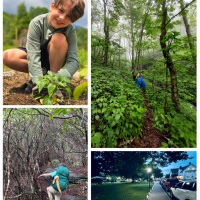 Call to Action: Cancelling Cancel Culture and Supporting Free Speech