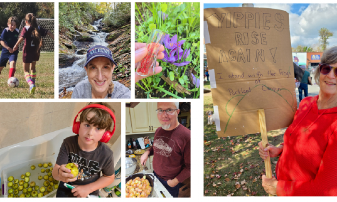 Start Singing, Don’t Stop (on Frogs, Caribou, and Homo Sapiens)