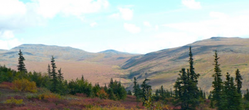AK 2010, Day 21: White Mountains Backpacking Trip [Catching Up]