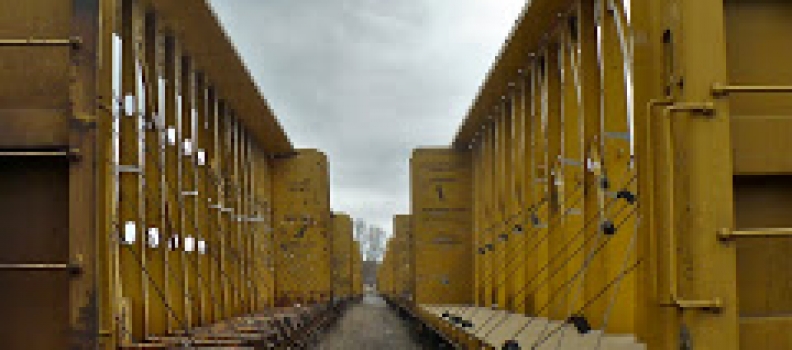 Fishtrap Week 4: Reflections