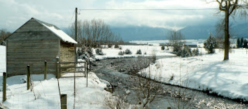 Enterprise, OR: A Photo Collage