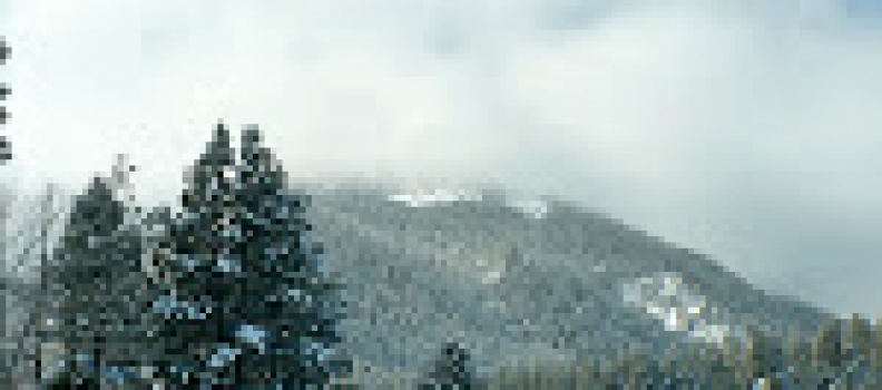 The Value of Triptychs