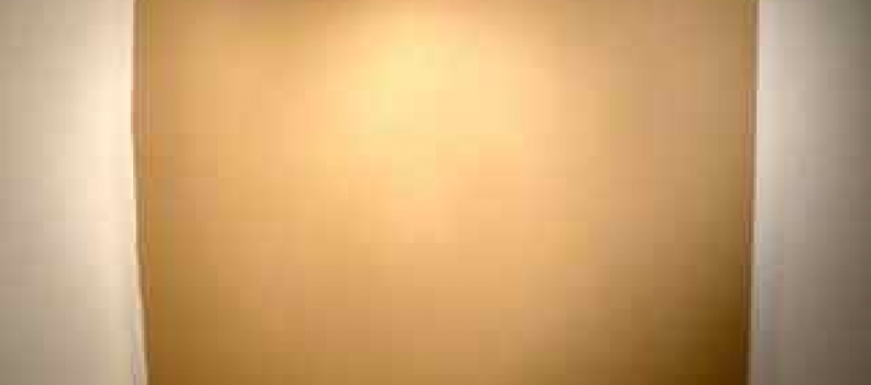 Texas Toes and Conceptual Art