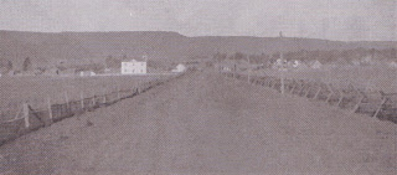 Wallowa, Oregon: Searching for Stories