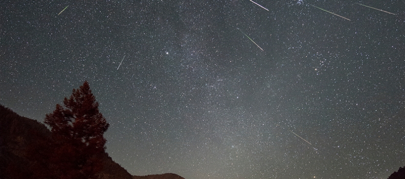 Perseids & 2 Free Courses