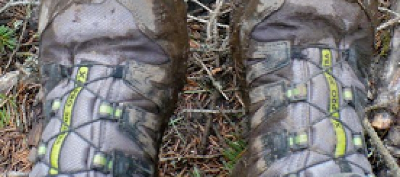 Three Cowboys and a Writer