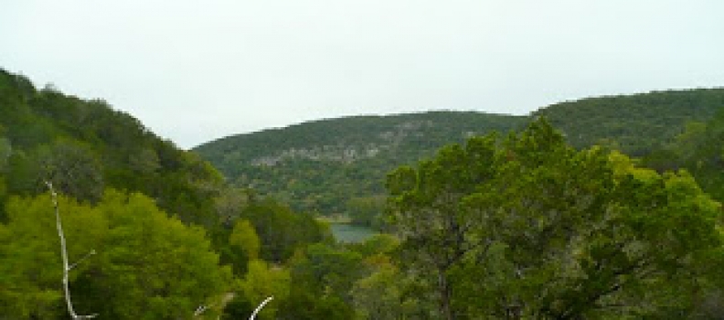 Birds by Day, Bucks by Night