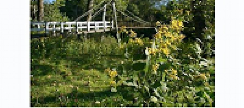 Looking Back at Lost Crossings