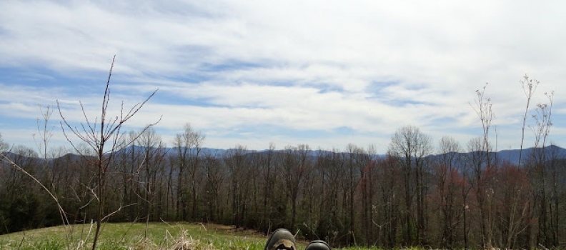 The Elusive Middle Ground & the Lost Cove Hike (Metaphor, Anyone?)