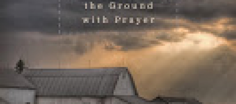 Top Books of Poetry Recommended as Gifts