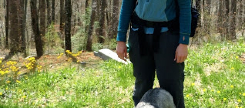 A Lil’ Spring Dash