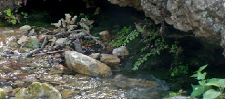 Dawn at Madrono Ranch