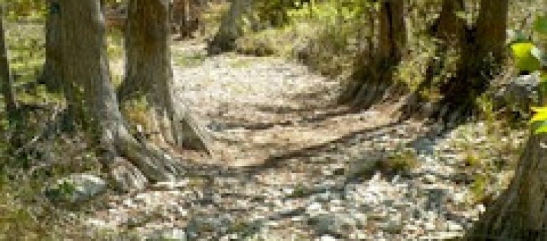 Droughts and Double Rainbows