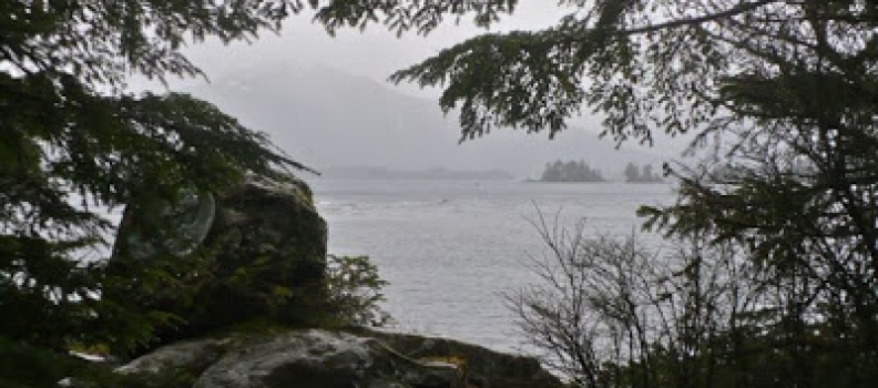 Sitka Day 5: North Pacific Current